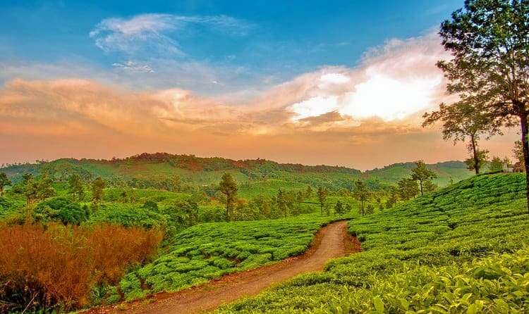 Bangalore to Sakleshpur (221 Kms)