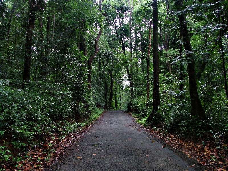 Bangalore to Agumbe (280 kms)