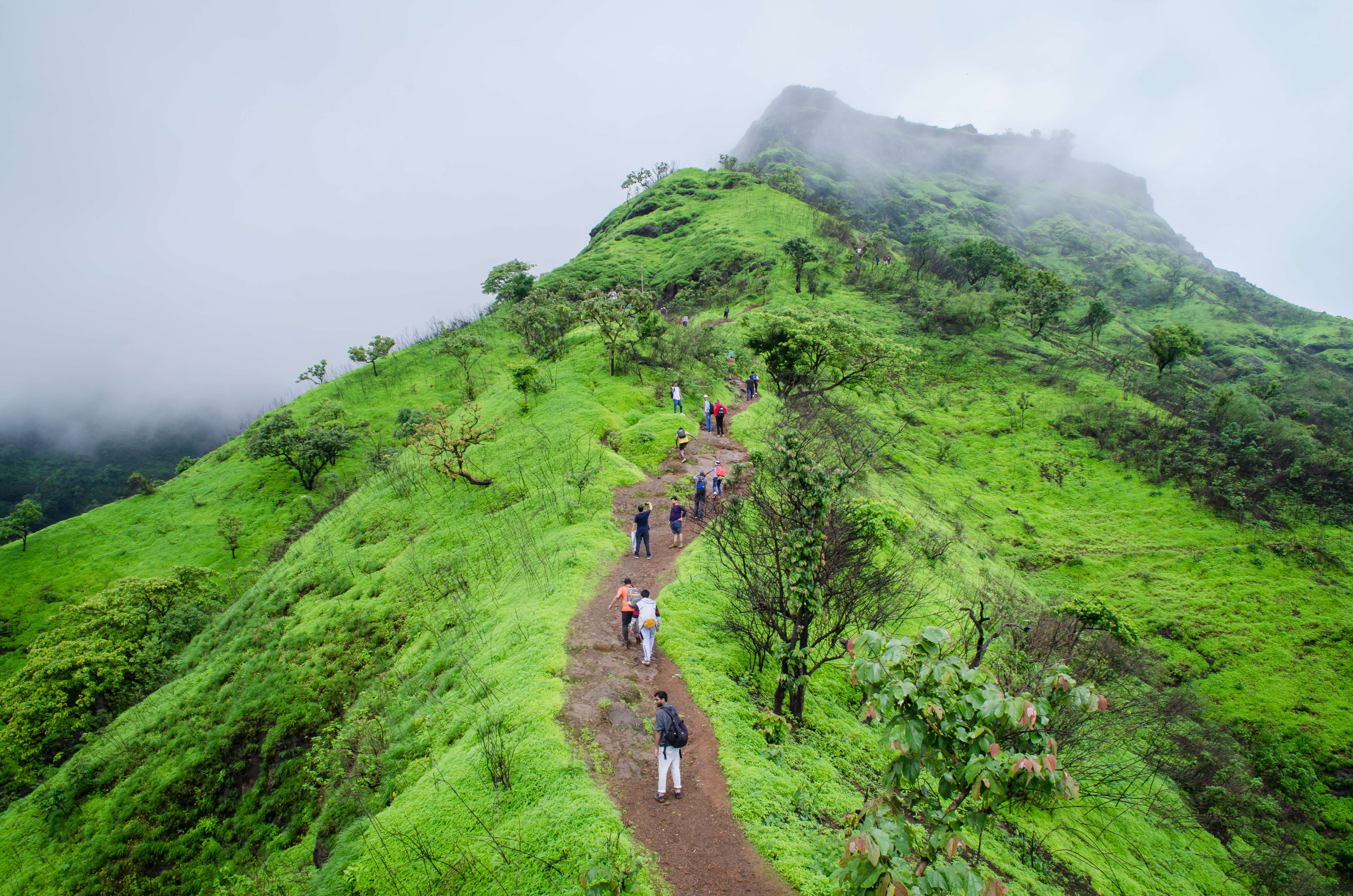 Trekking near Pune: Book Treks near Pune (Starting from ₹800)