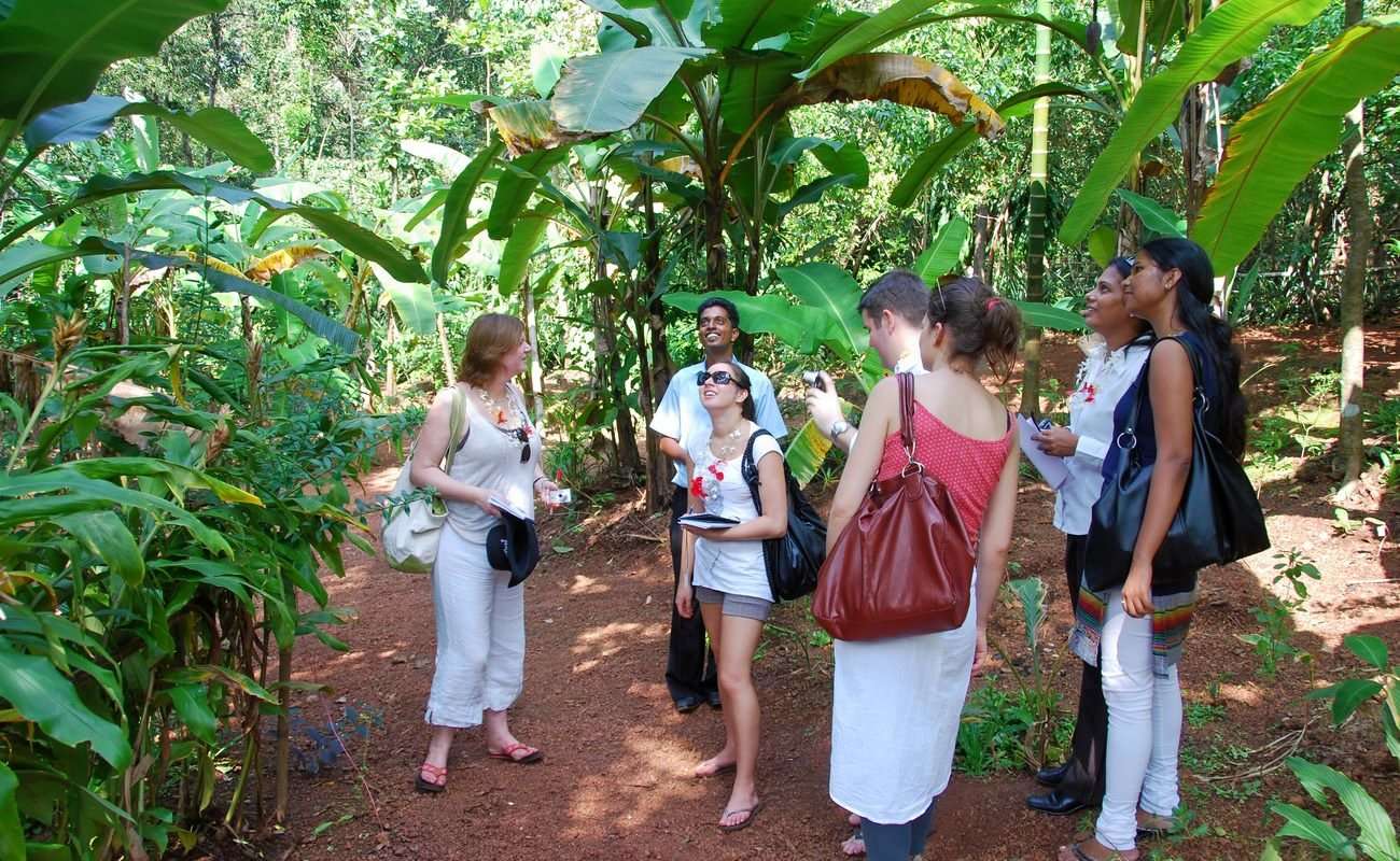 Visit Spice Plantation