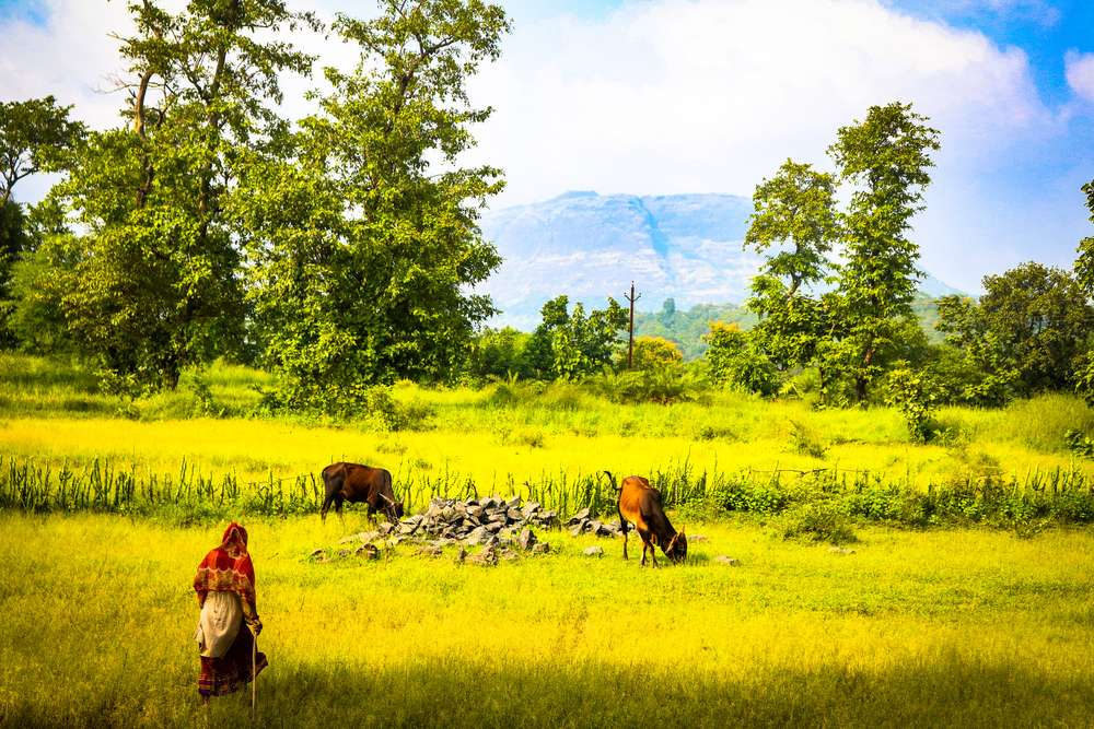 Palghar (109 kms from Mumbai)