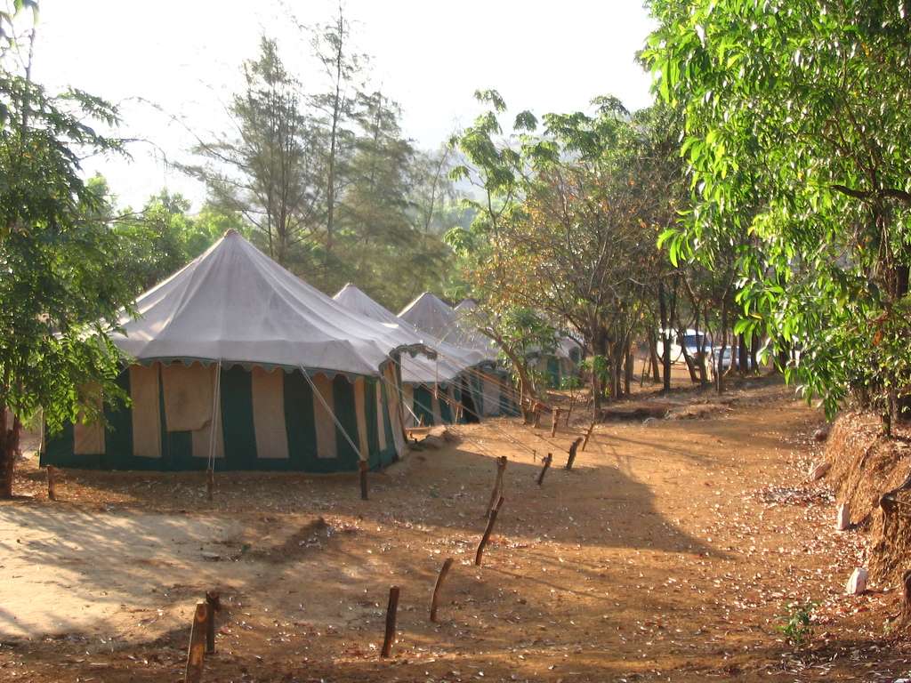 Dajipur Wildlife Sanctuary (494 kms from Mumbai)