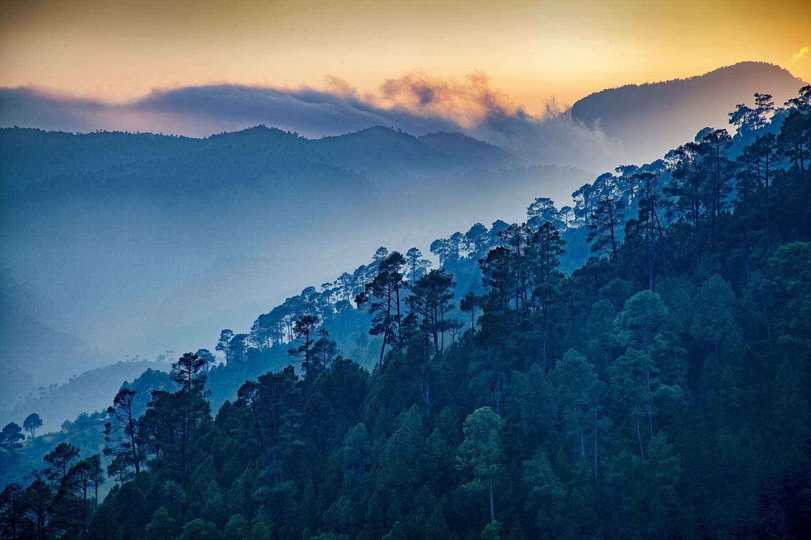Ranikhet (357 Km from Delhi)