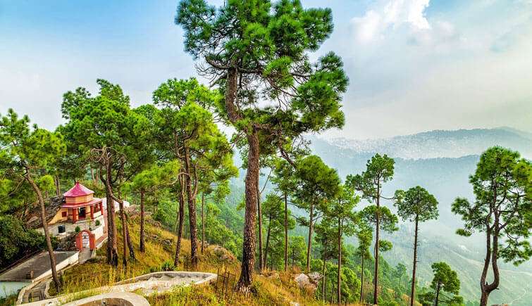 Almora (364 Km from Delhi)