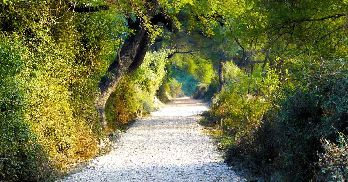 Keoladeo National Park