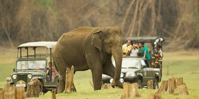 Nagarhole Wildlife Safari