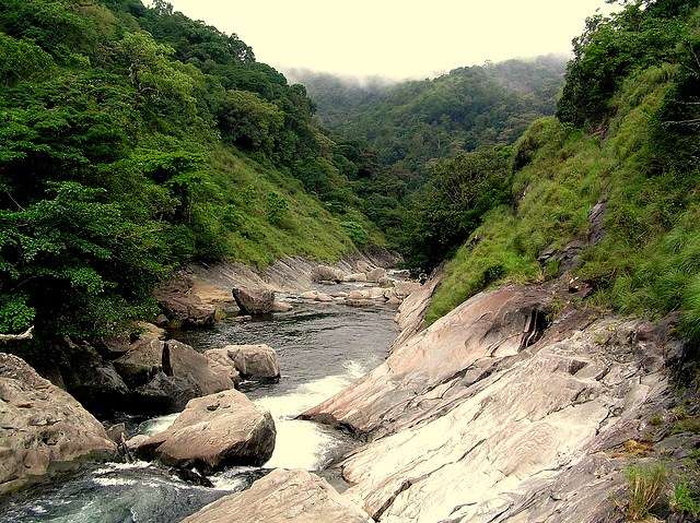 Aralam Wildlife Sanctuary