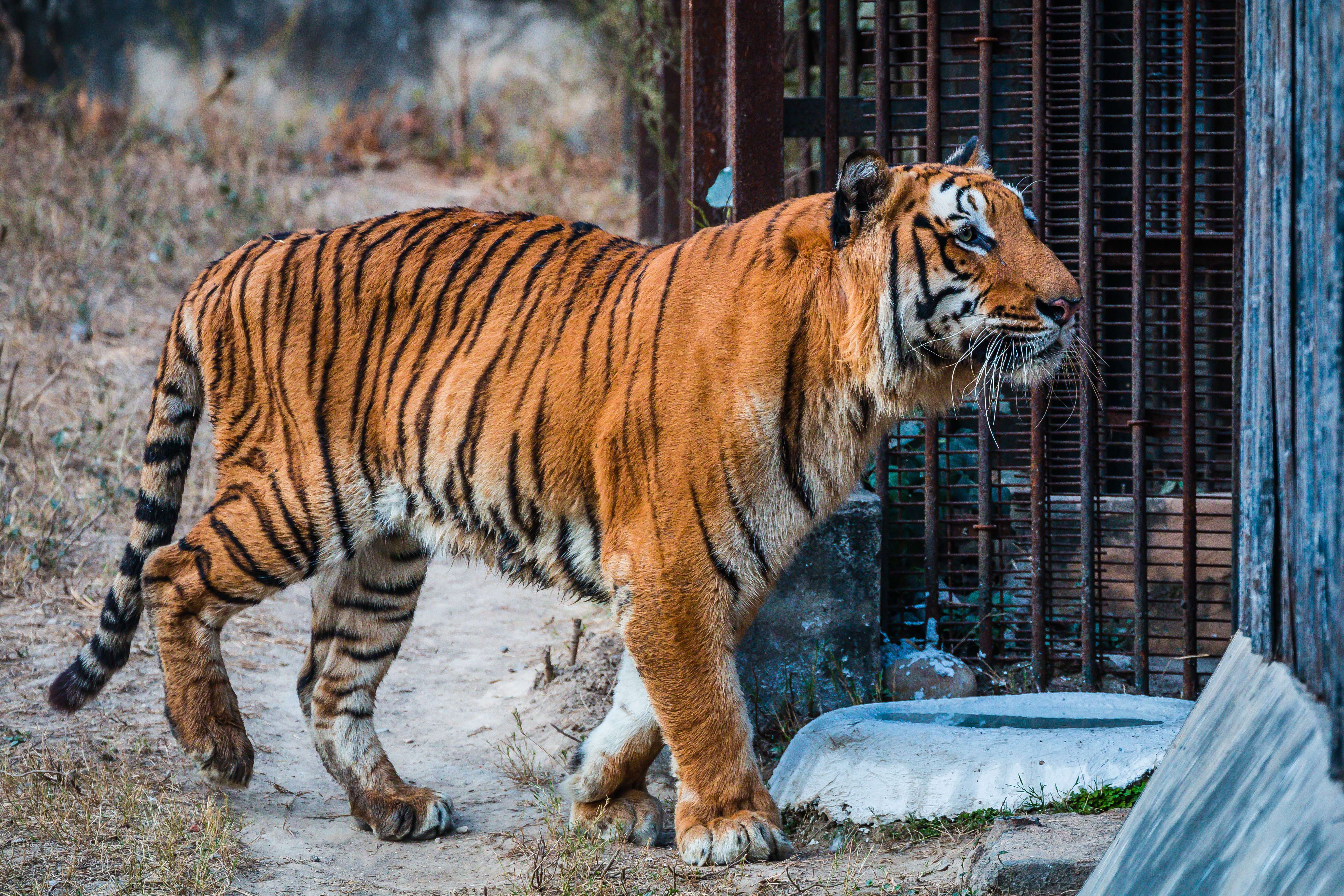 The National Zoological Park