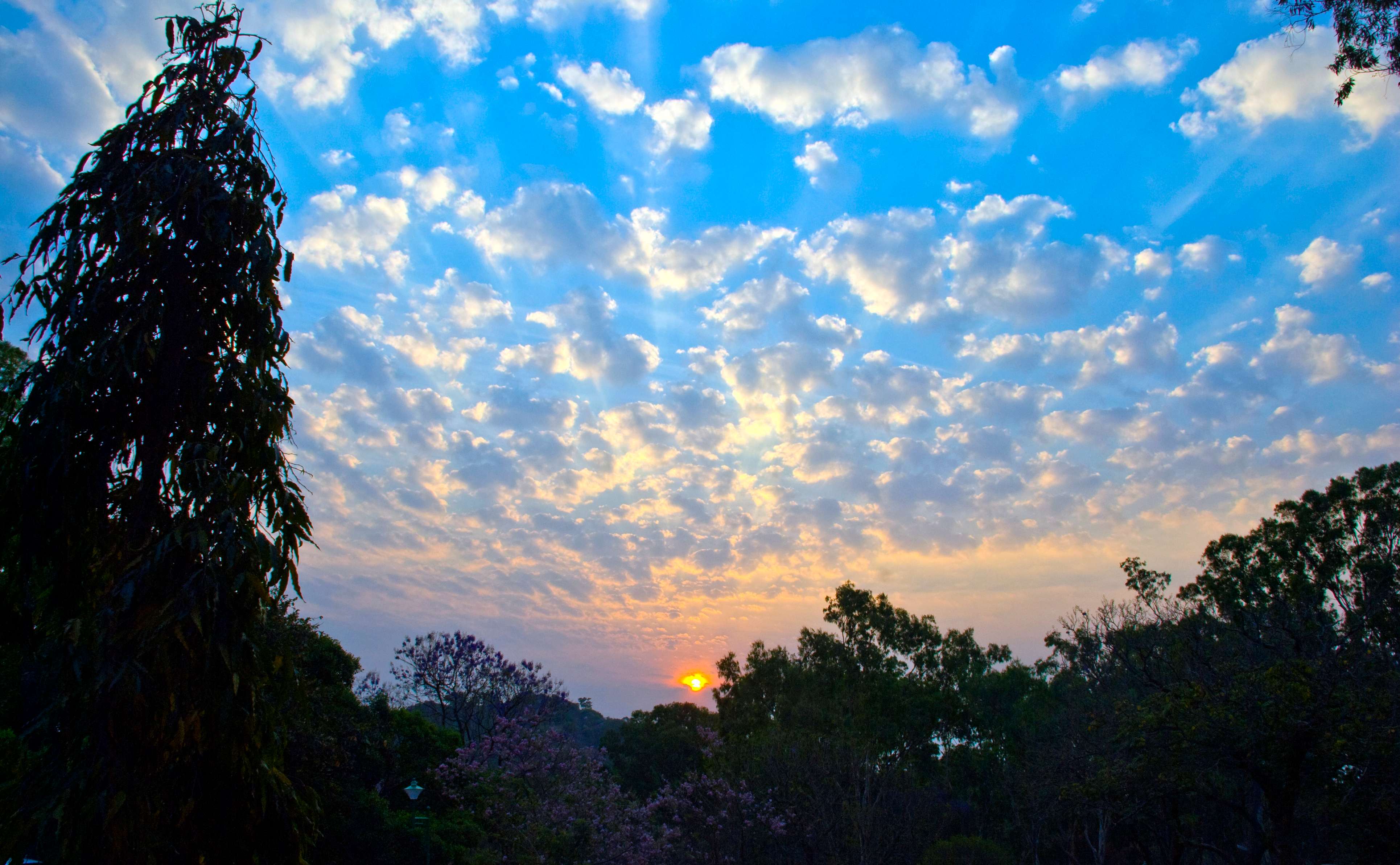 Horsley Hills (157 Km from Bangalore)