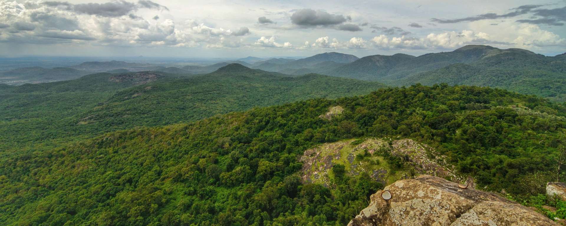 BR Hills (179 Km from Bangalore)