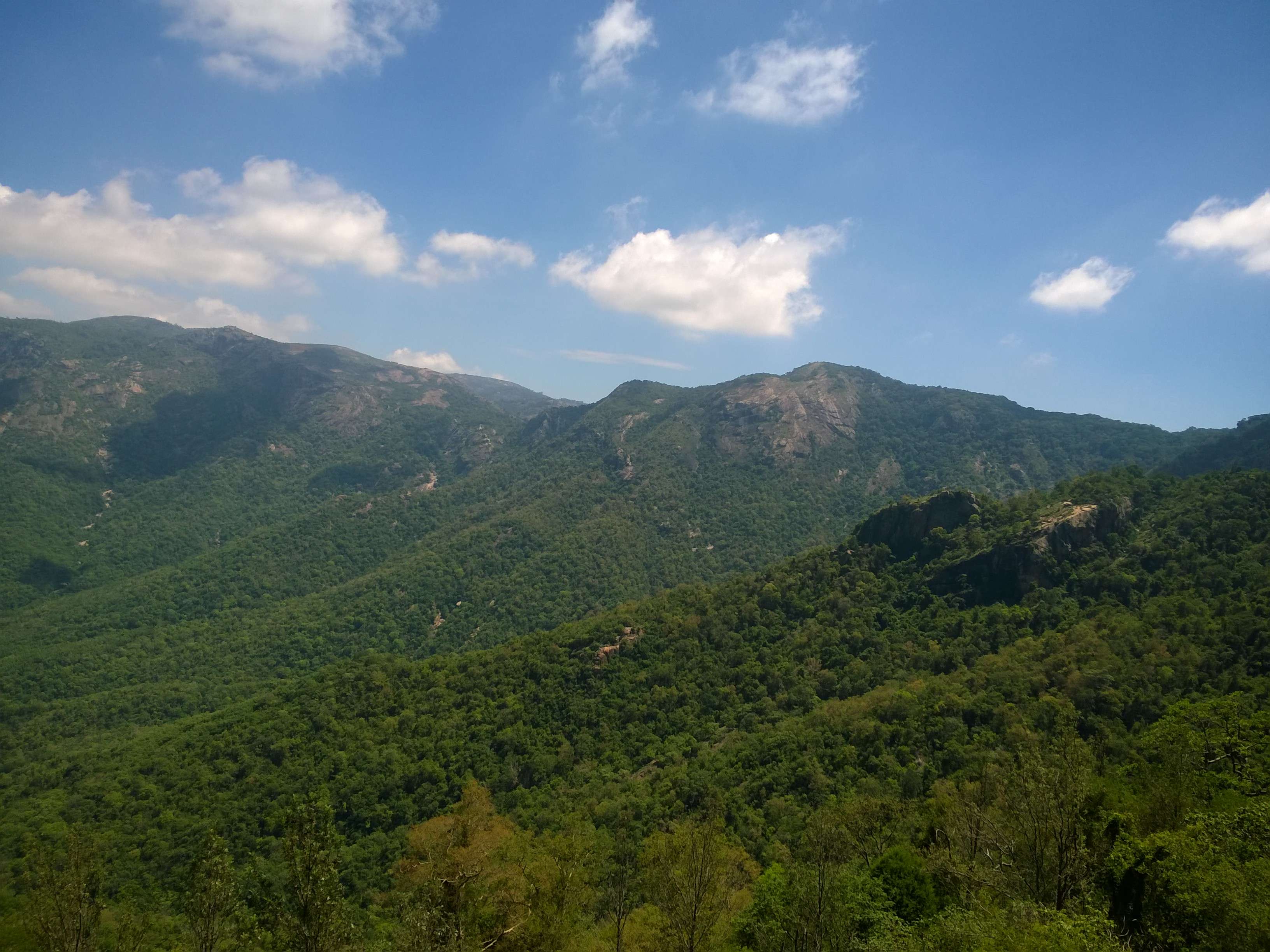  Kolli Hills (348 Km from Bangalore)