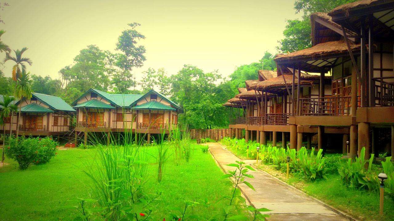 Kaziranga Resort, Kaziranga National Park, Assam