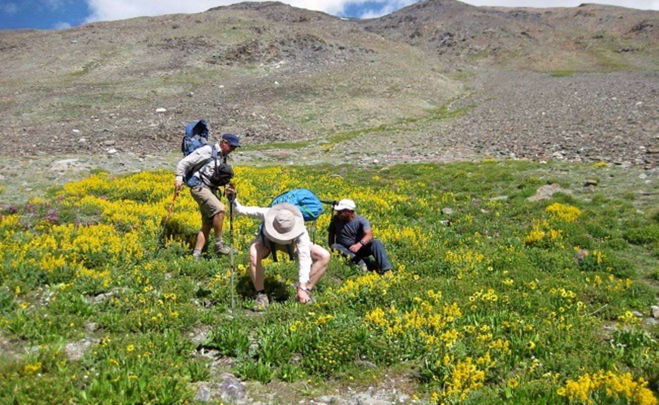 Padum to Darcha Trek