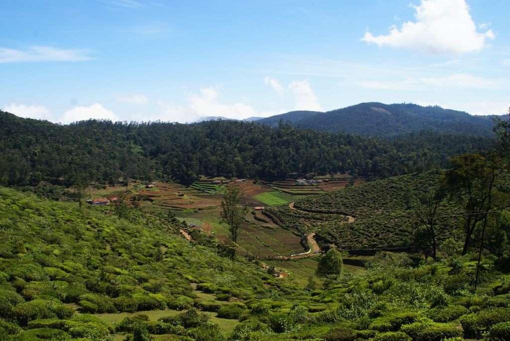 La Maison, Ooty