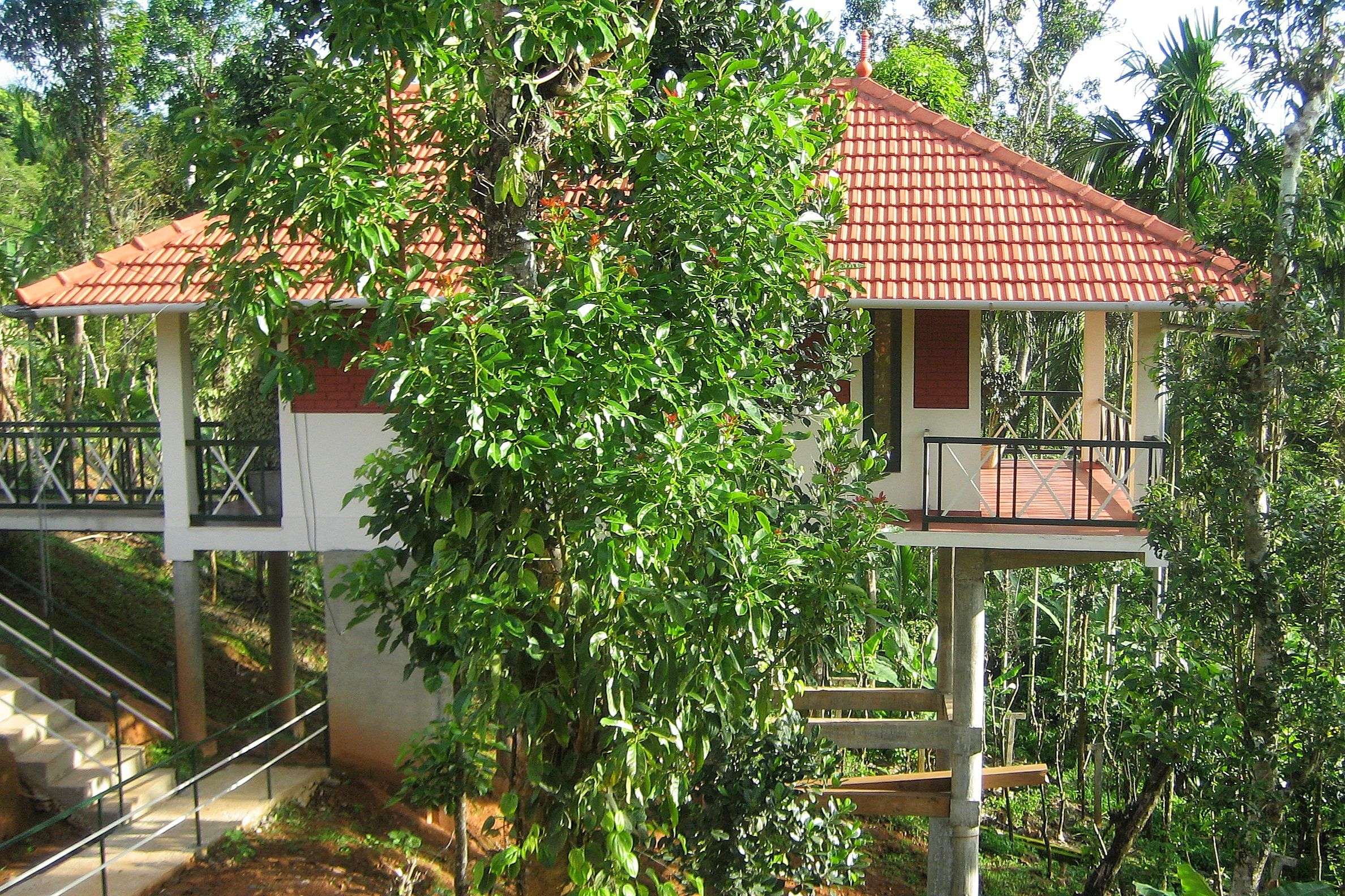 Glenora Homestay, Wayanad