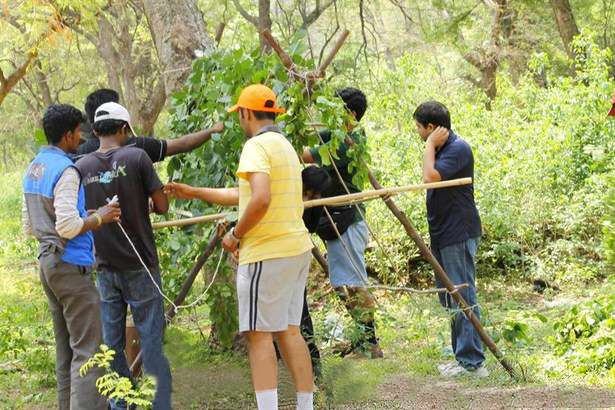 Jungle Survival Theme