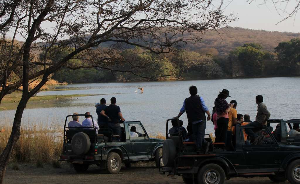 Ranthambore National Park, Sawai Madhopur