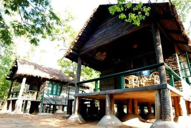 Jungle Huts and Tent Stay