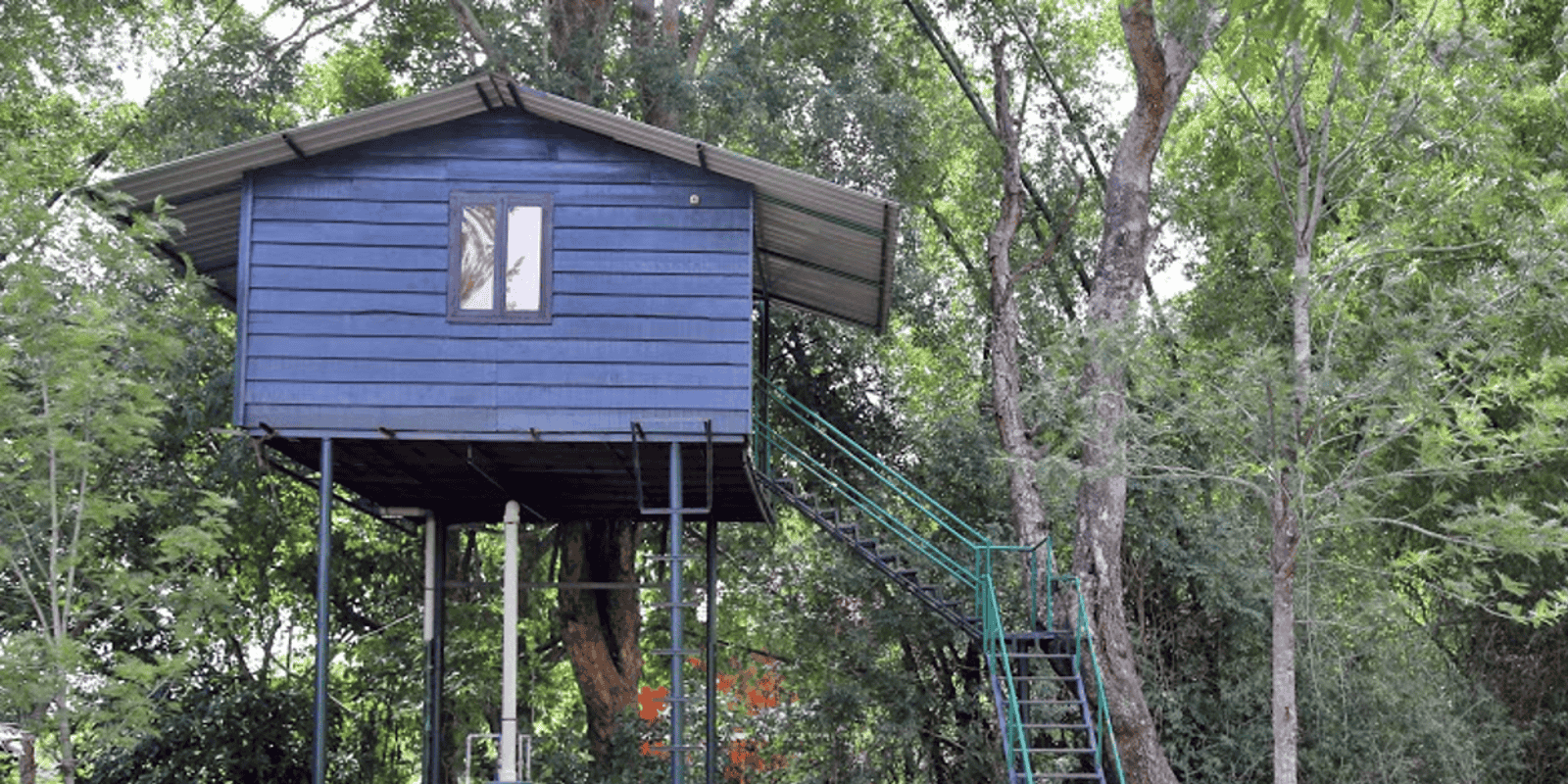 Stay with Adventure Activities in Masinagudi