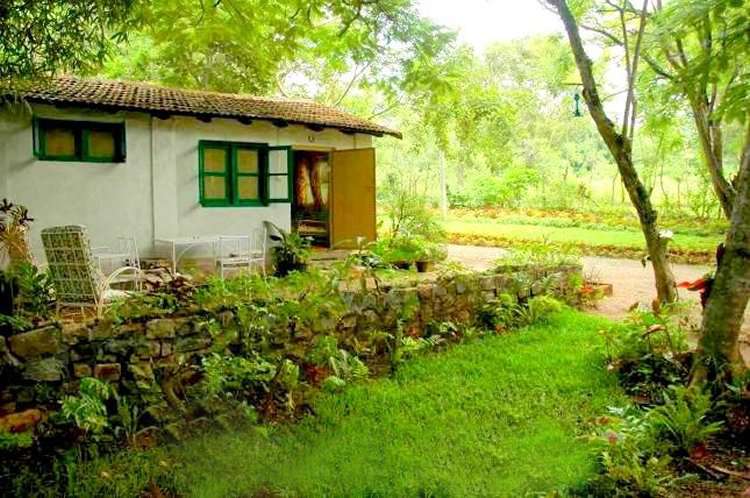 Nature Stay Experience In Masinagudi