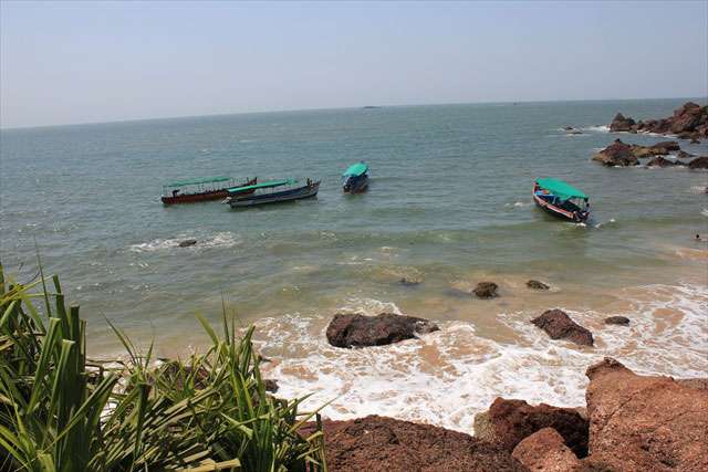 Grand Island Trip with Snorkeling and Monkey Beach in Goa