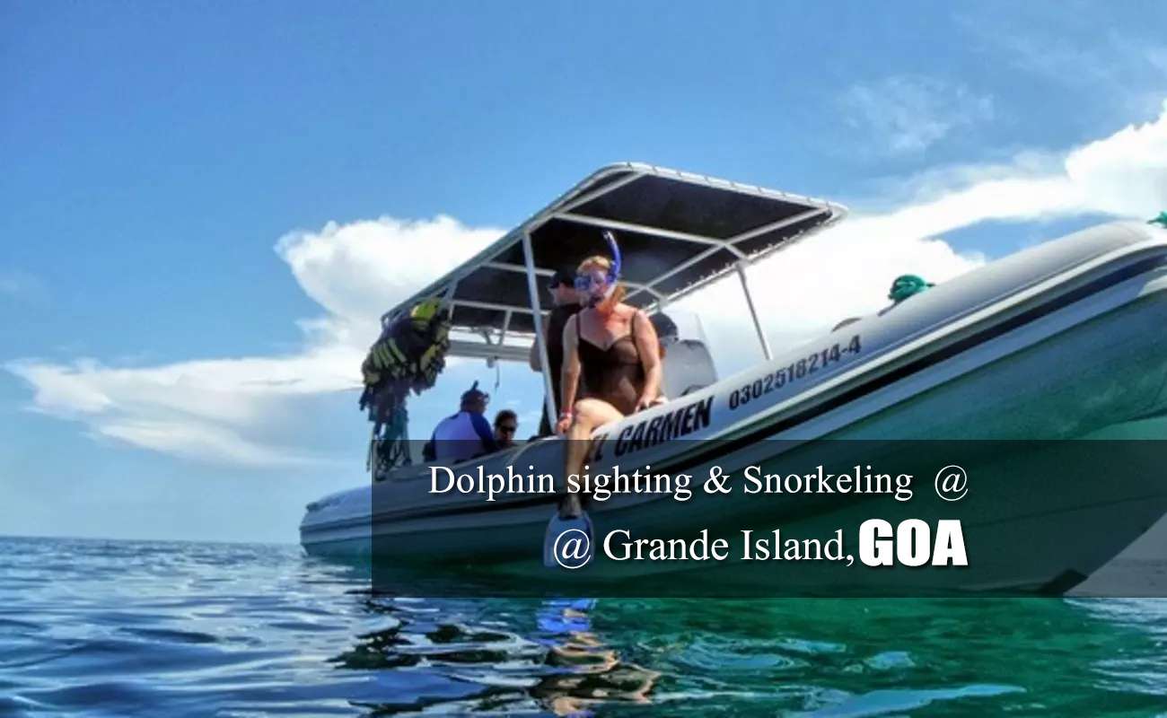 Dolphin Sighting And Snorkeling At Grande Island In Goa