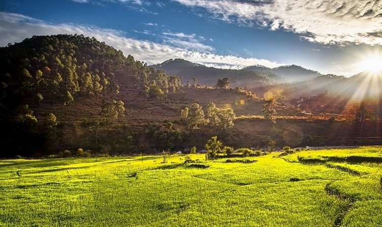 Kausani (434 kms from Delhi)