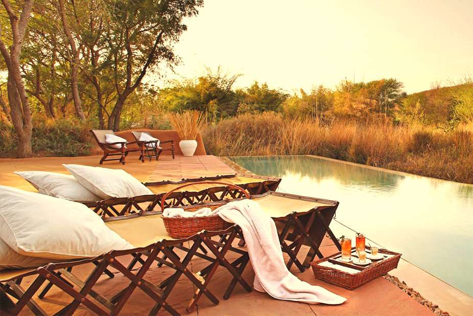 Lavish Stay at Sher bagh Ranthambore, Rajasthan