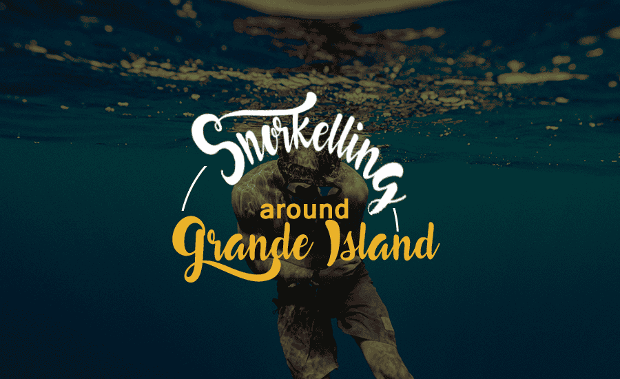 Grand Island Goa Tour with Snorkeling, Book @ ₹999 Only!