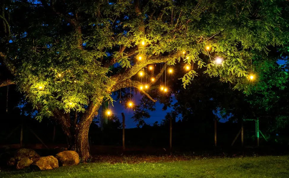 Camp Riverwild in Jim Corbett | Book Online & Save 15%