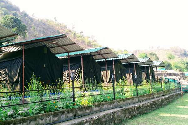 Royale Rainbow Resort