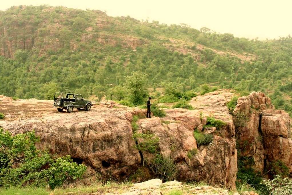 Jeep Safari at Ranthambore Forest Resort