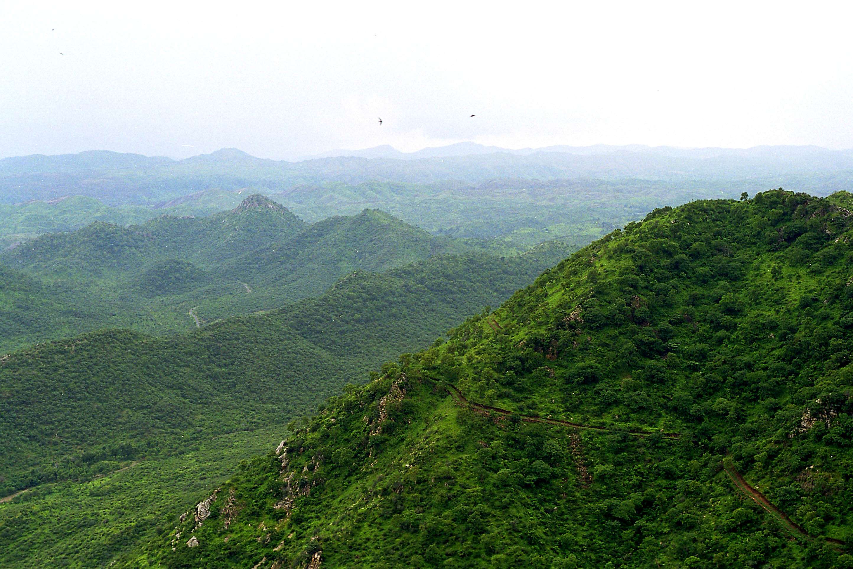 Bhadraj Hill Trek