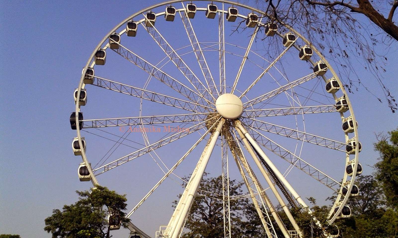 Delhi Eye