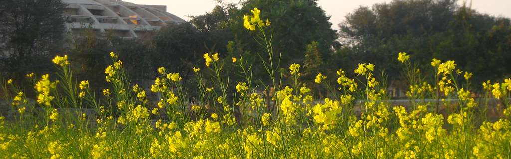 Places to Visit in Manesar