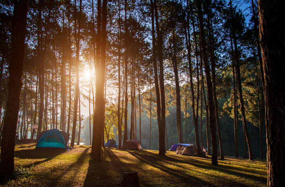 Camping in Dhanaulti: Upto 30% Off on Best Camps in Dhanaulti