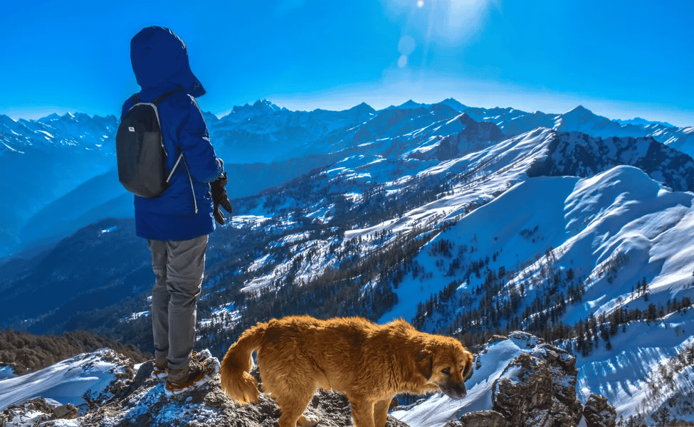 Binsar Trek, Uttarakhand 2022 | Book Now @ Flat 12% off