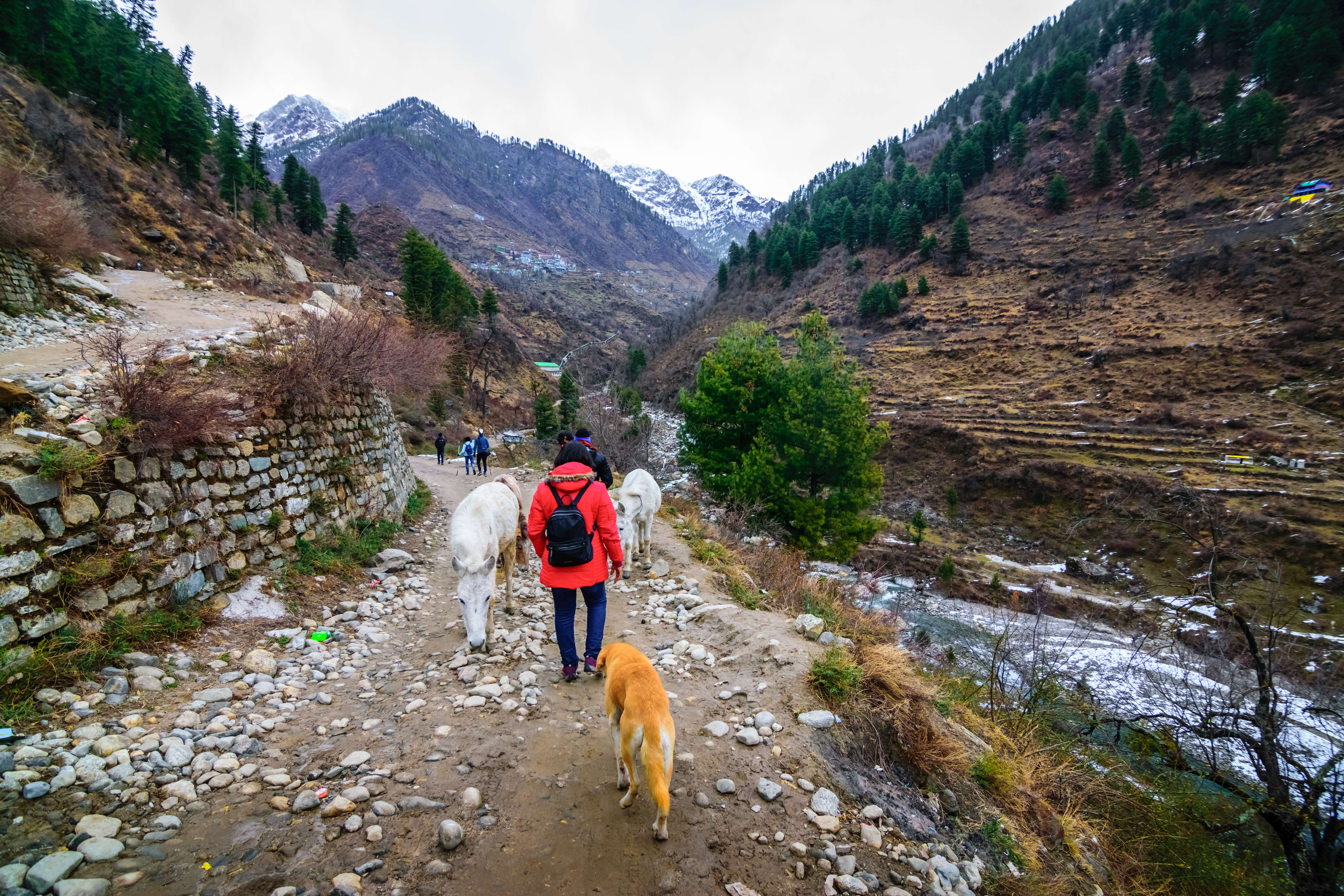 Kheerganga Trek 2022, Kasol | Book @ ₹1,280 Only!