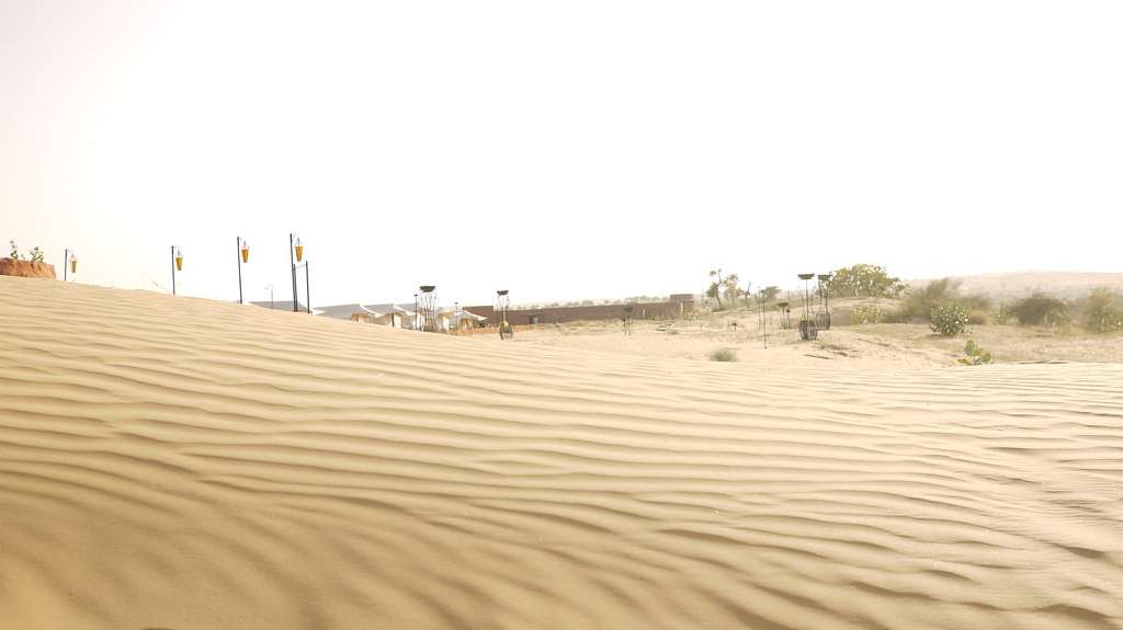 Desert Safari to Osian