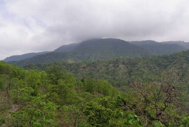 Toranmal (469 km from Pune)