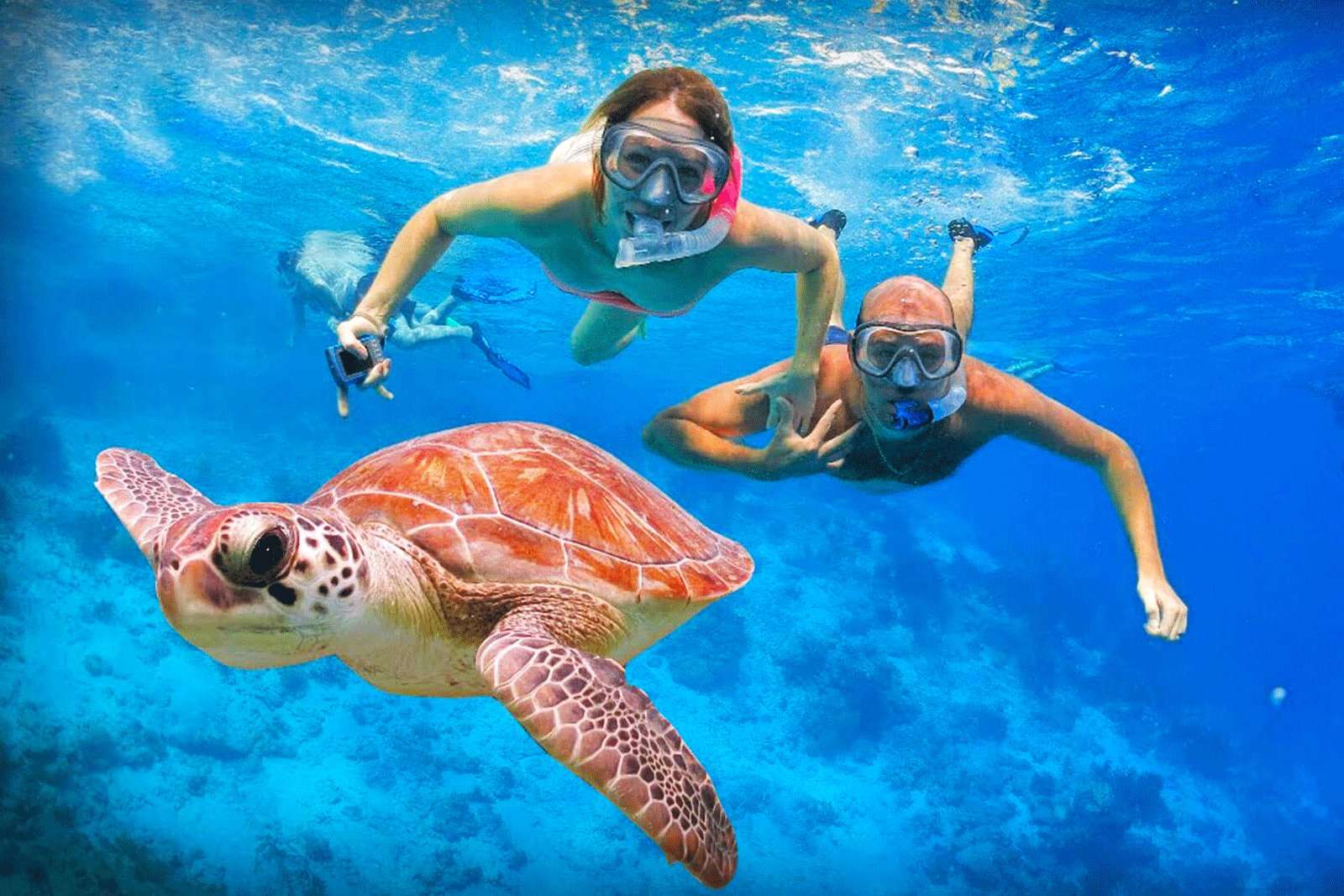 Snorkeling in Mirissa | Flat 18% off | Professional Guide
