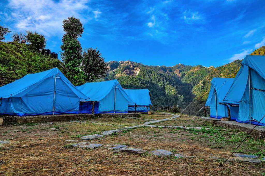 Camping in Mashobra | Book Online & Get 1200 Cashback!