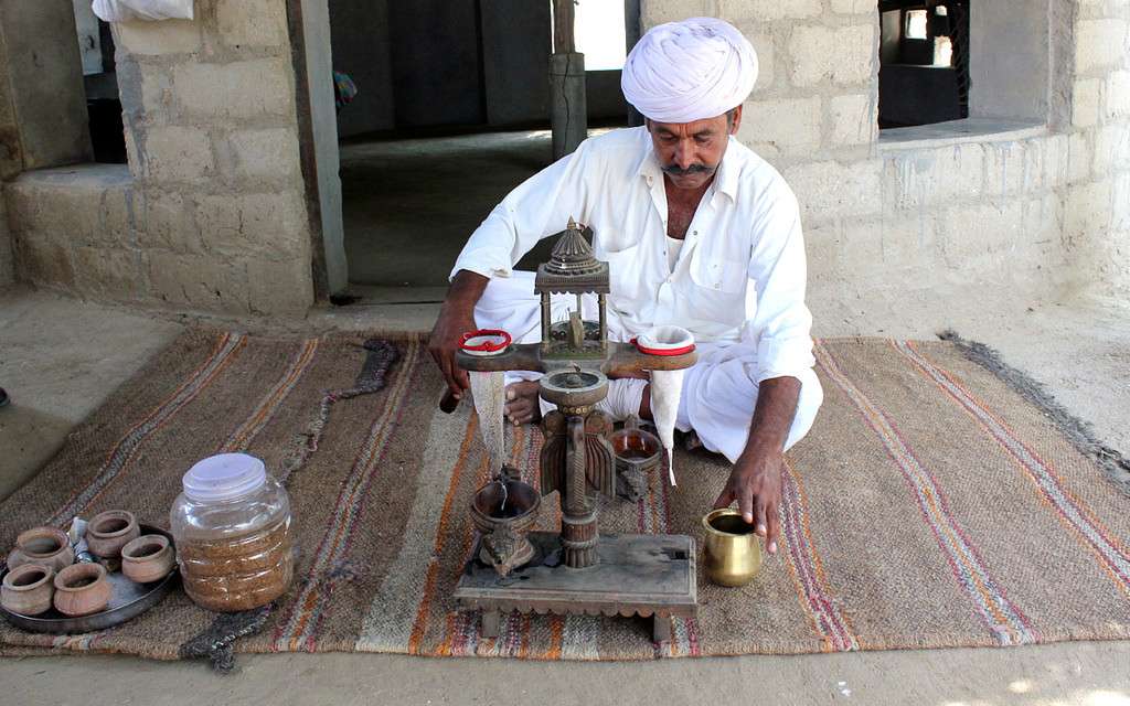 Bishnoi Village Safari, Jodhpur | Book Online @ Flat 15% off