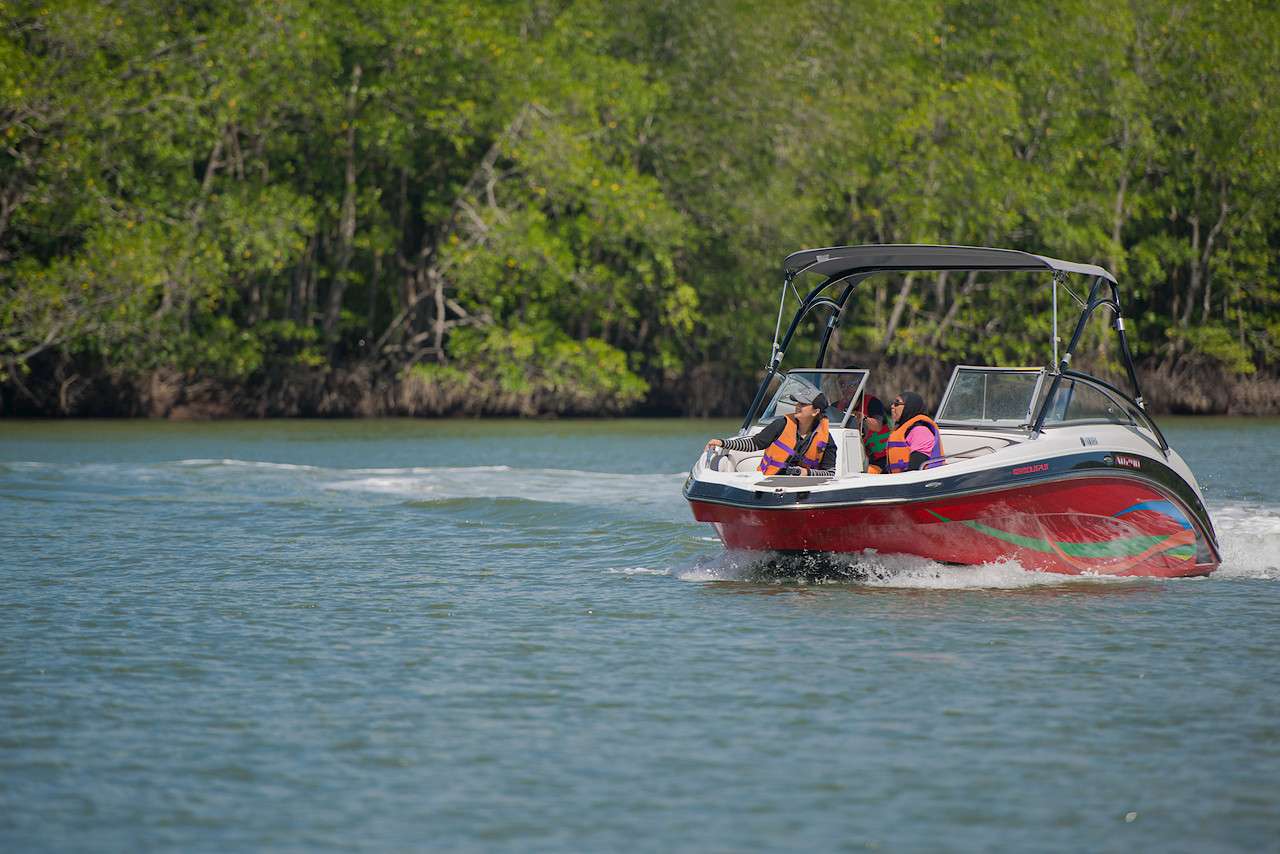 Mangrove Eco Safari Boat Ride in Malaysia