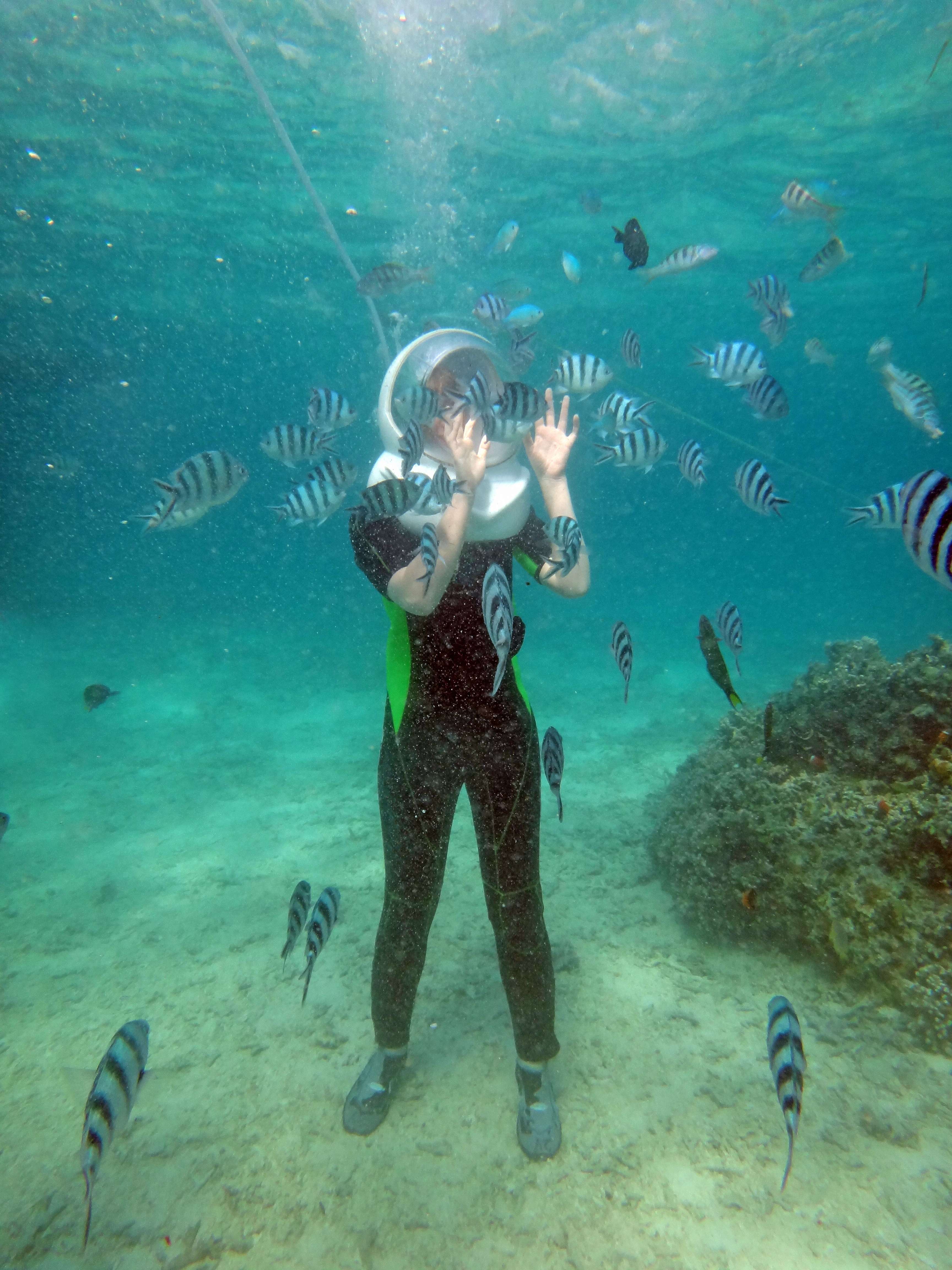 Sea Walking in Bali | Book Online & Get Flat 25% off