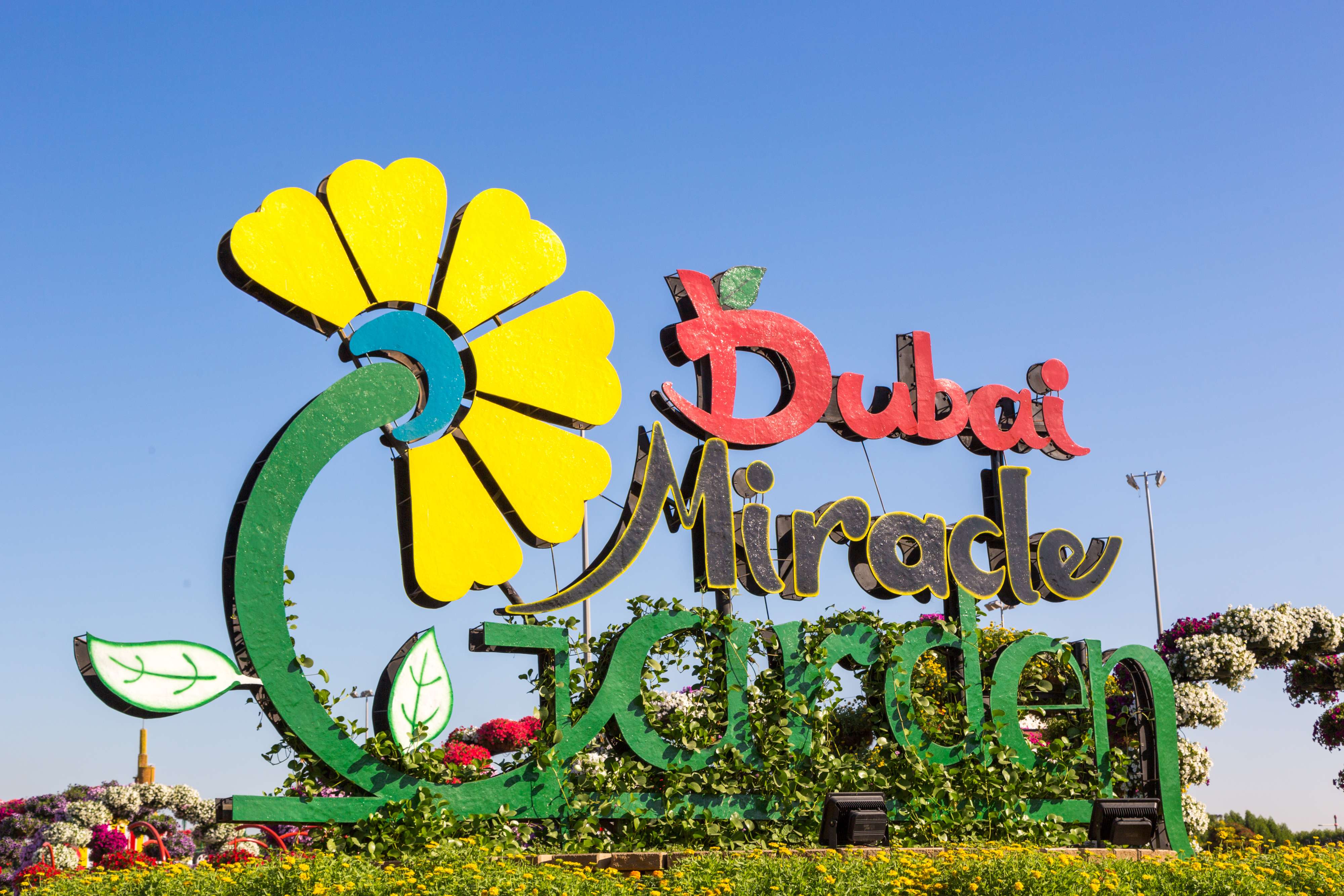 Dubai Miracle Garden Tickets - Save 40% & Get 500 Cashback