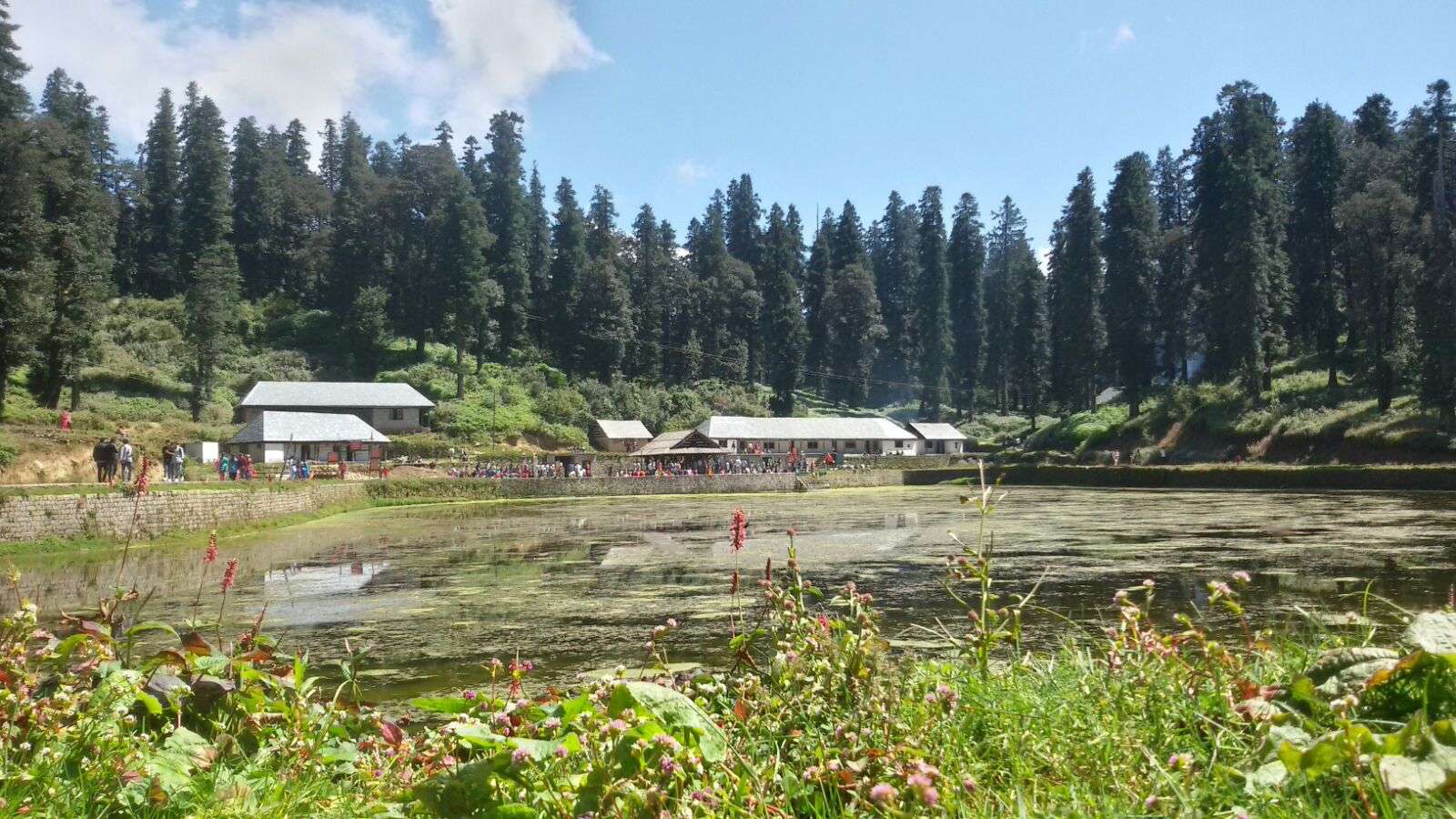 Trekking and Camping at Janjehli