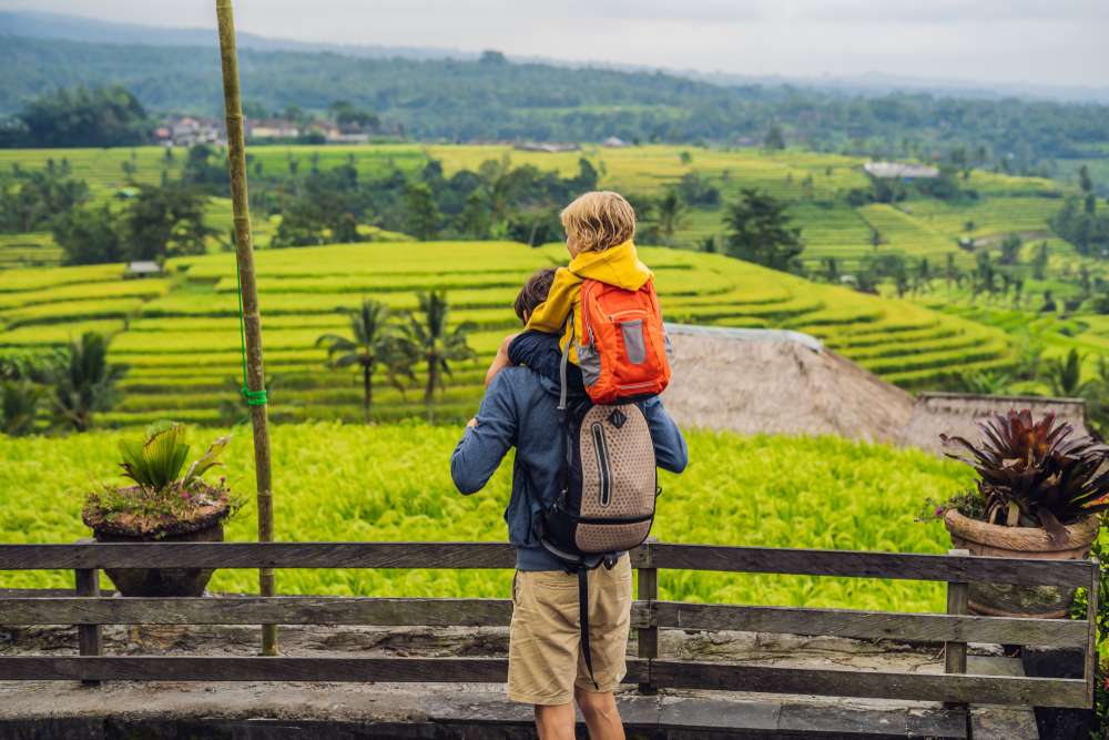Jatiluwih Rice Terrace Tour & Ulun Danu Beratan, Get 18% off