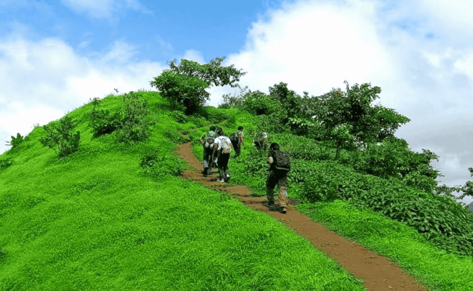 Tikona Fort Trek, Lonavala | Book Now @ ₹875 Only!