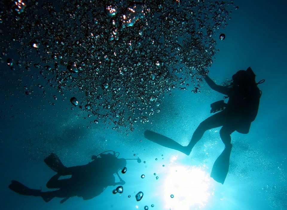 Leisure Scuba Diving Trip in Malaysia